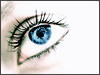 copyright Leolein